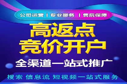 跨行业SEM广告投放的多样化案例分析